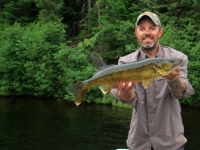 Pêche au doré sur la rivière Bazin,Laurentides