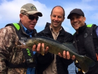 Sortie de pêche au doré