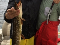 peche_pourvoirie_fer_a_cheval_pont_masson_3