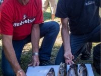 peche_pourvoirie_fer_a_cheval_pont_masson_4