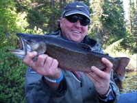 Pêche à la truite mouchetée à la pourvoirie Fer à Cheval, Laurentides