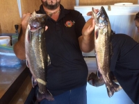 pont_masson-au_fer_a_cheval_3