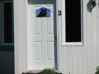 porte-condo-ours