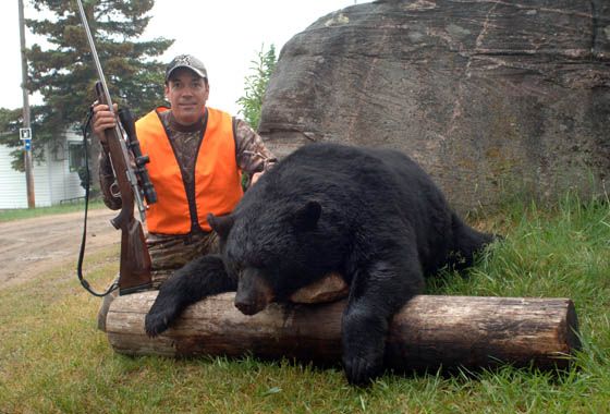 Gros Ours en avant d une grosse roche endroit pour Grand chasseur